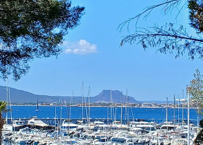 Apartment T2 35m2 Clim, Piscine, Balcon Et Parking Prive A 2 Pas Du Port Santa Lucia